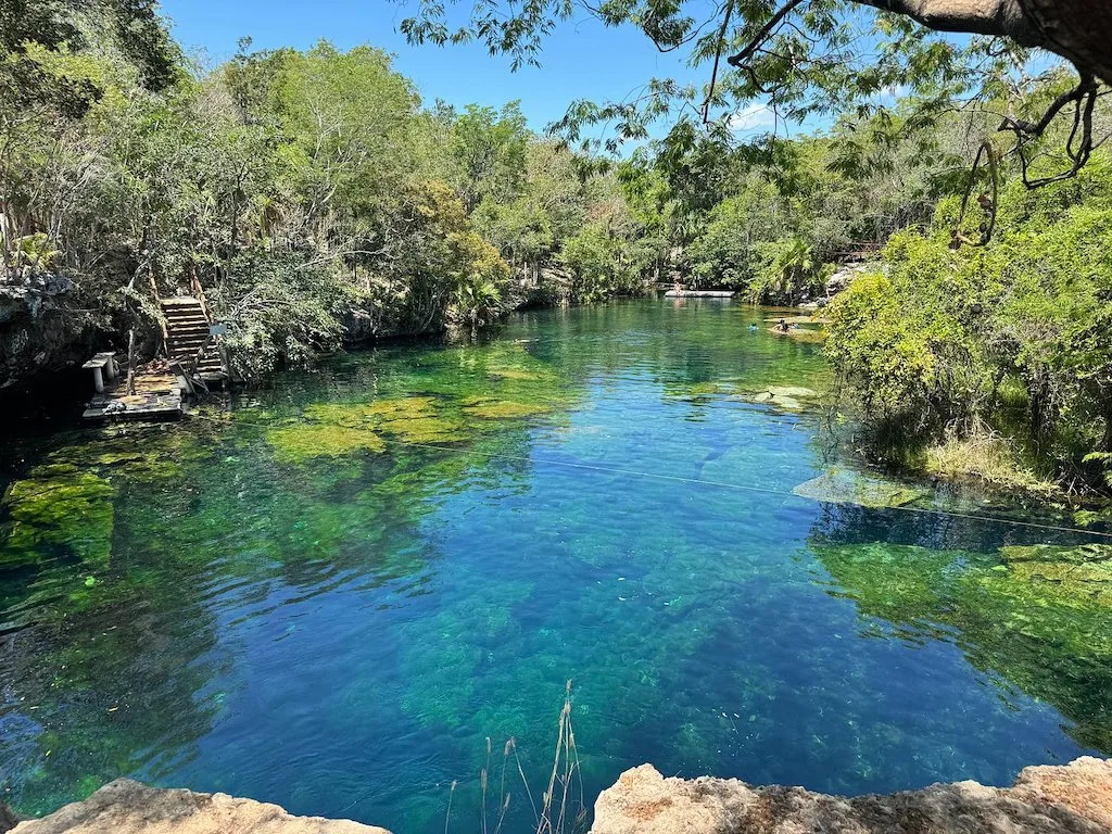 Image of the crystal-clear water at Eden Cenote near Playa del Carmen.