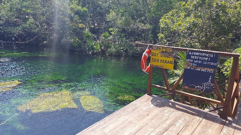 Wooden deck at Cenote Jardin del Eden.