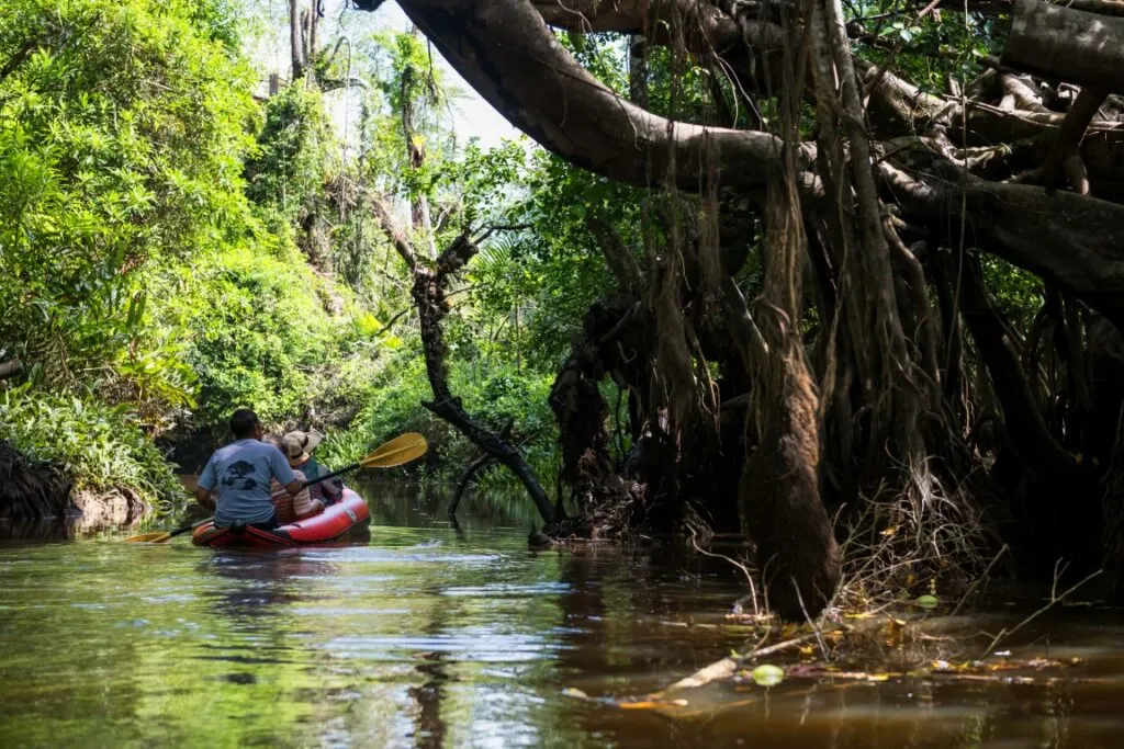 People kayaking along a canal lined by trees