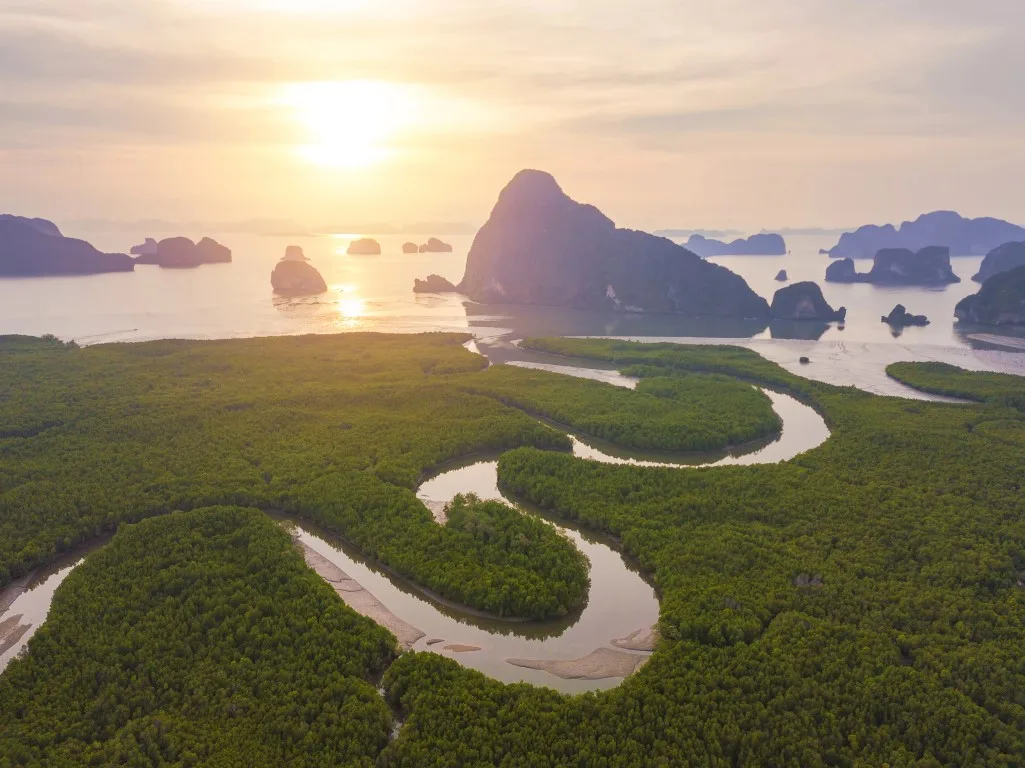 Limestone karsts in the water, mangroves, and a meandering river covered in a hazy light at sunrise