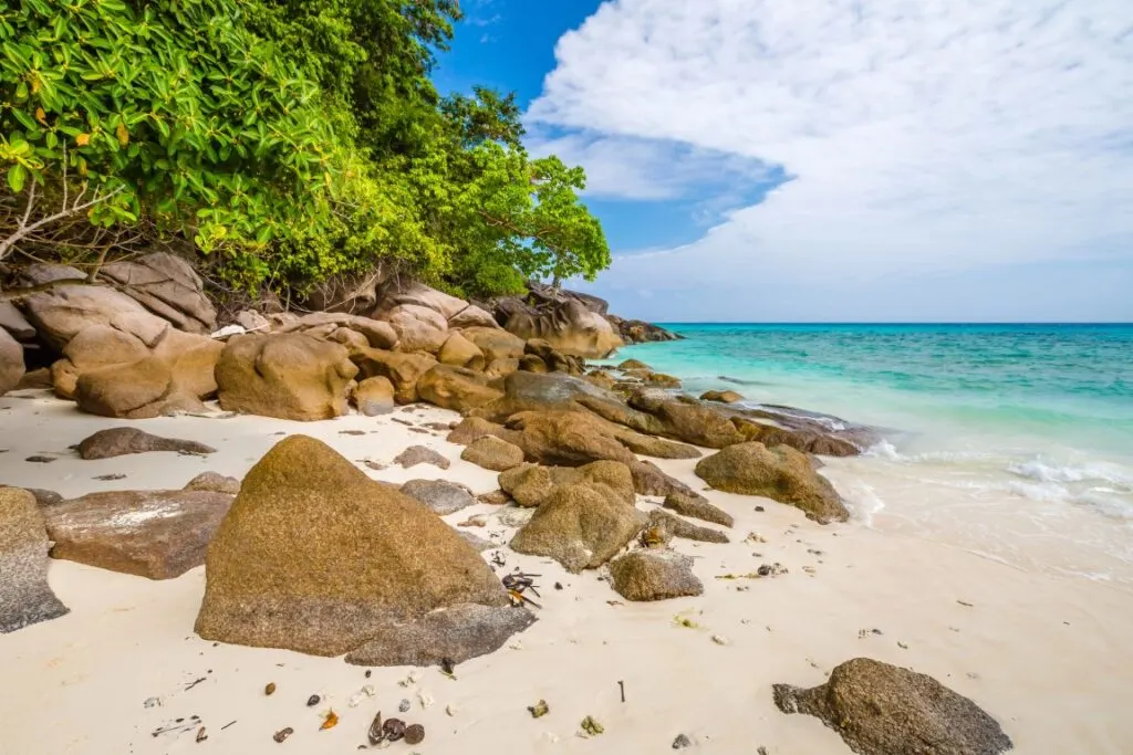 A beach with rocks and green vegetation, and crystal-clear waters