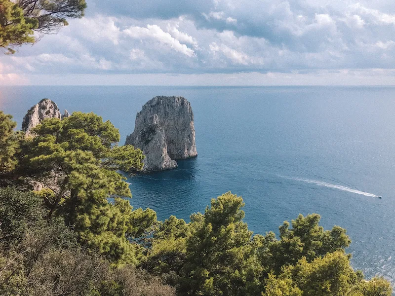 Green bushes at the forefront, the rock formations of Faraglioni, and the sea