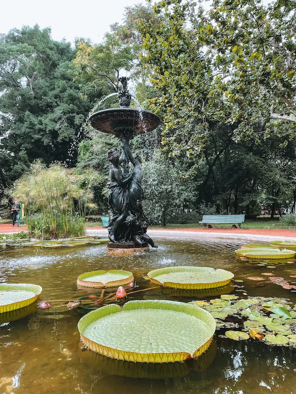 A pond with lily leaves, and a fountain 