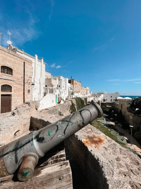 A bombard on the tower of a castle 