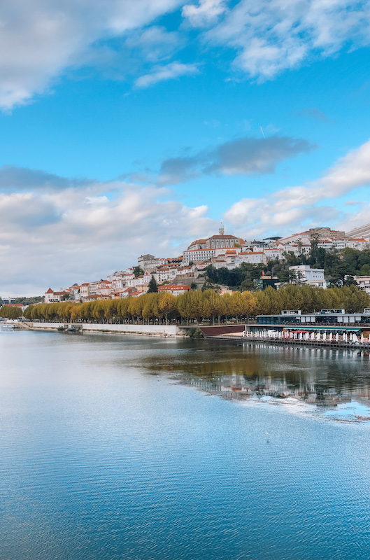 A crystalline river and a city in the background 