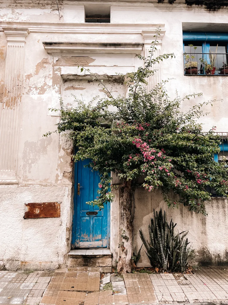 The facade of a blue door in a white , old-looking house with a Bougainvillea
plant outside