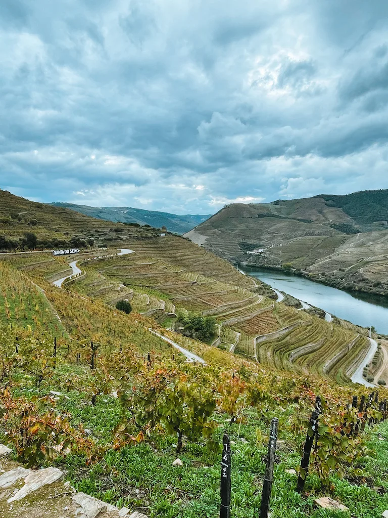 Terraced vineyards on a hill, and a river in the background 