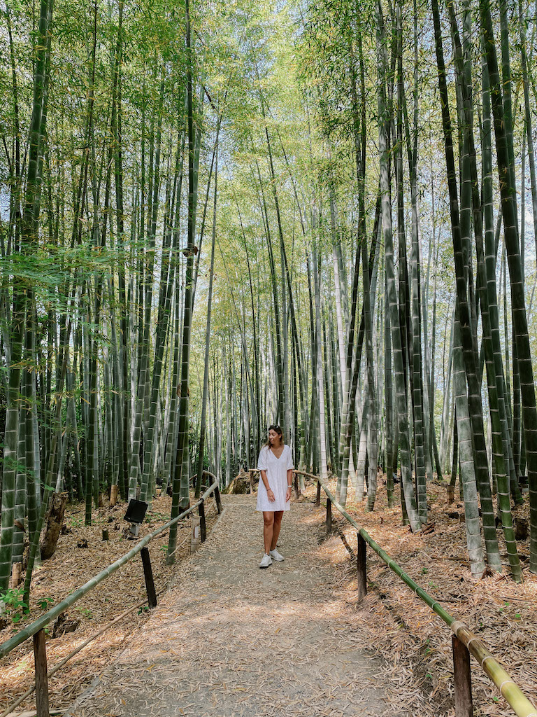 A woman in a white dress in a pathway inside a bamboo forest