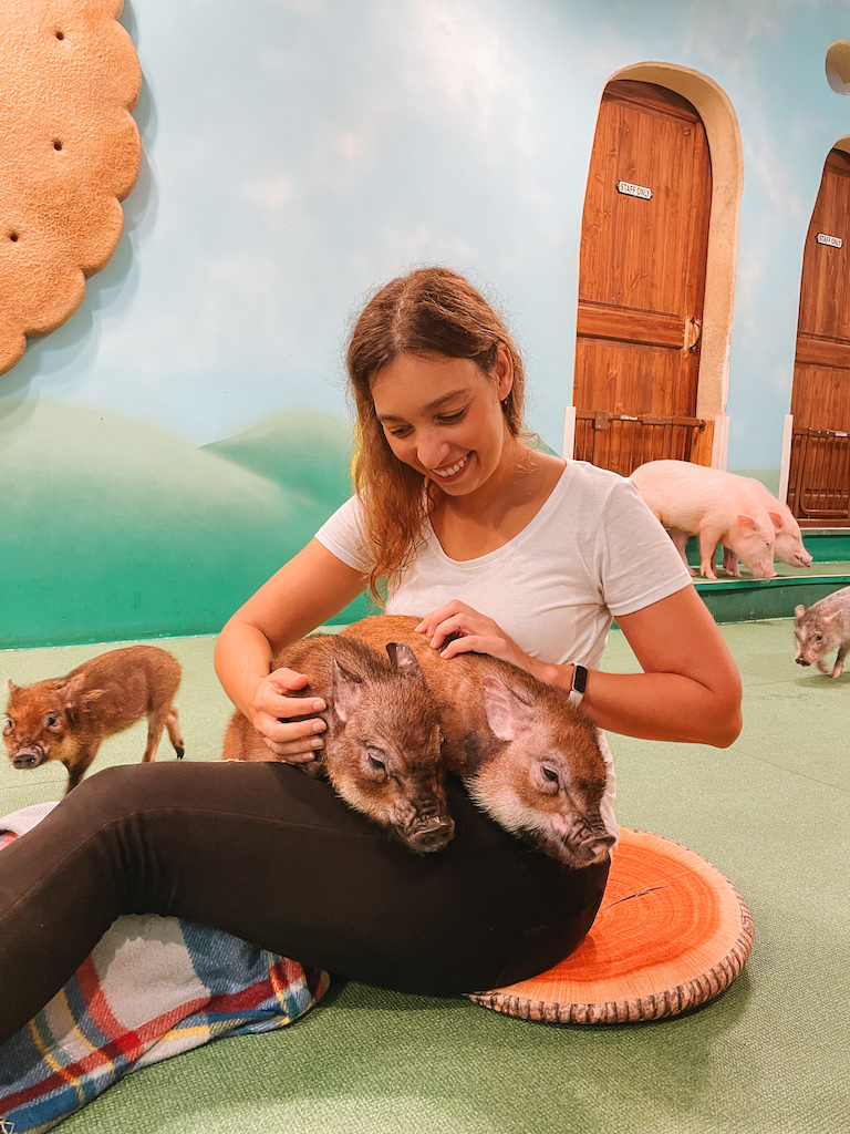 A woman sitting on the floor petting two baby pigs