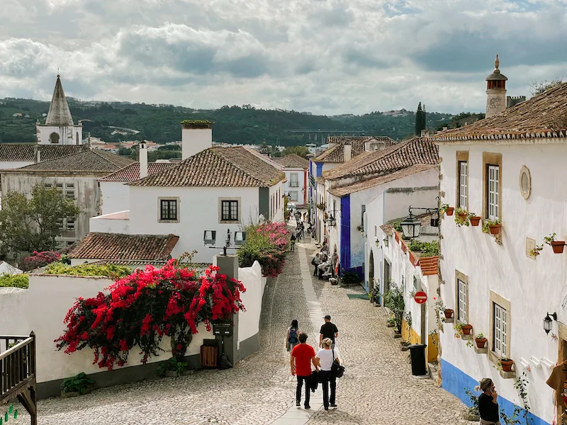 A cobblestone street lined by elegant, colonial houses