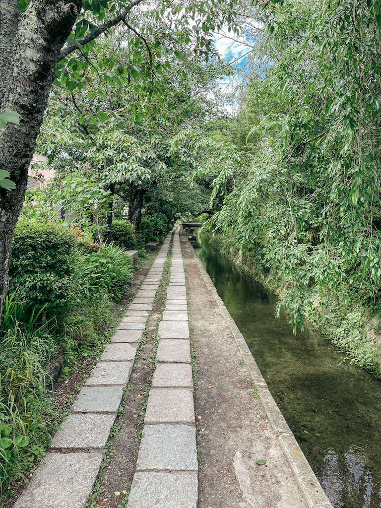 A narrow pathway along a small canal lined by dense vegetation