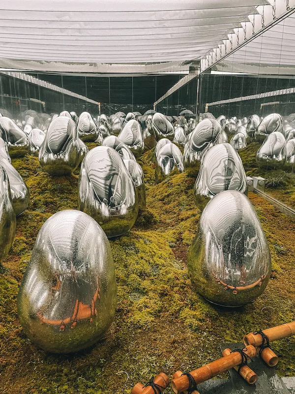 An installation in teamlab planets