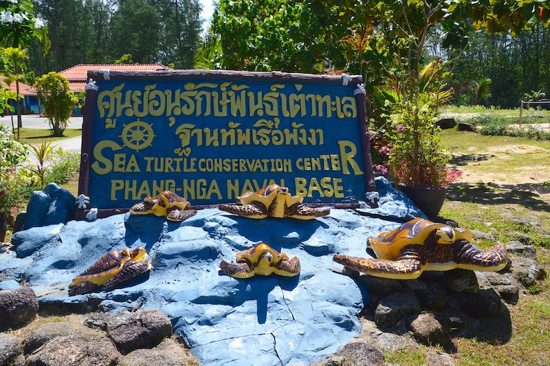 A blue sign with yellow letter that reads ''Sea Turtle Conservation Center'' in English and in Thai, and sculptures of small turtles