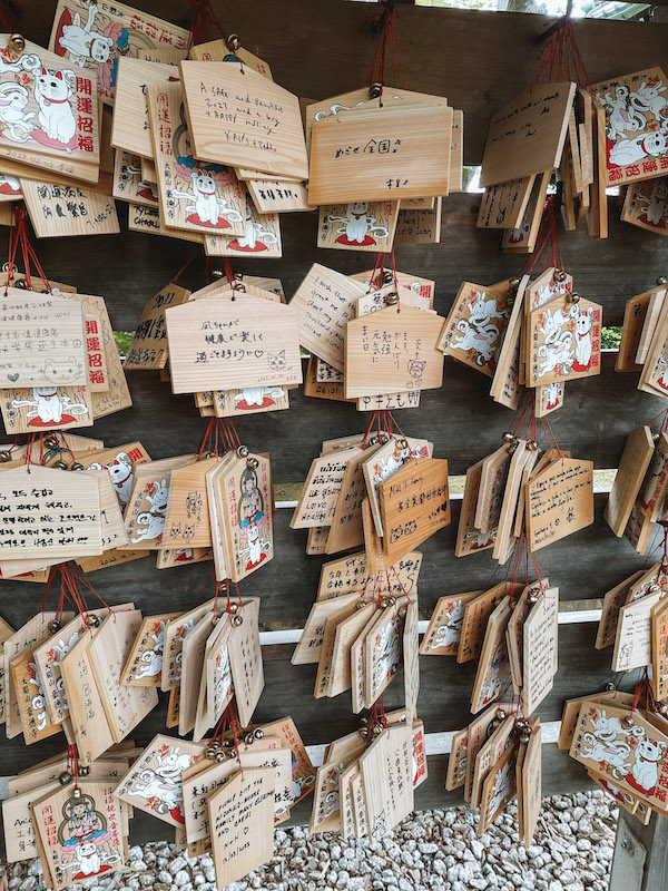 wooden signs hanging on a wooden wall