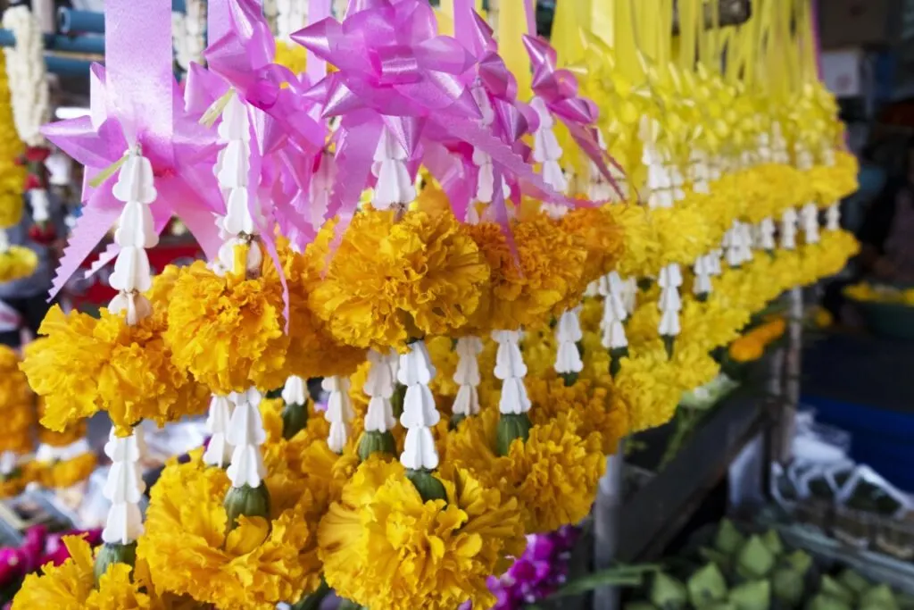 vibrant yellow and orange flowers on display