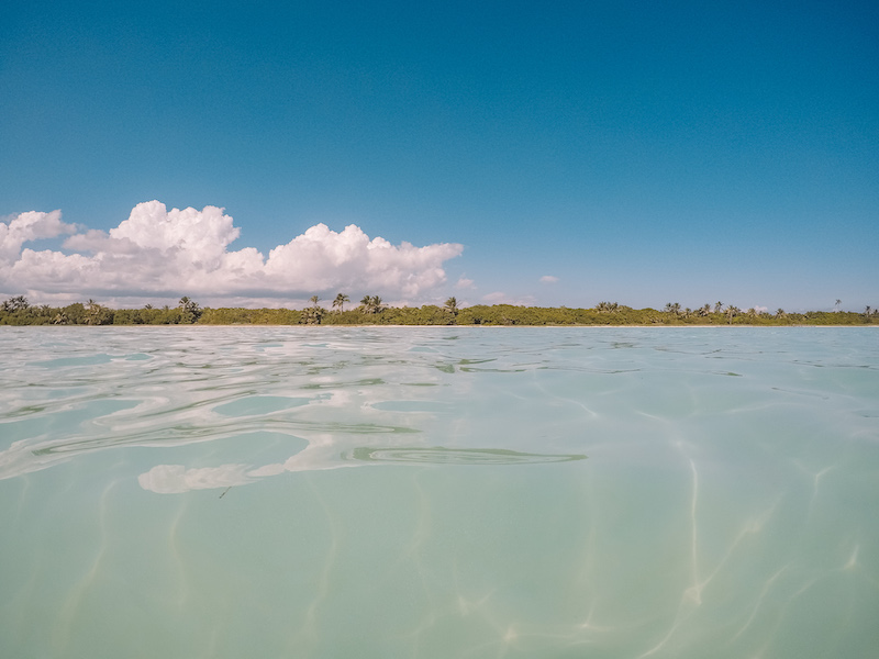 Crystal-clear turquoise waters stretch under a bright blue sky, with mangroves and distant palm trees lining the horizon in Punta Allen, Sian Ka'an Biosphere Reserve.