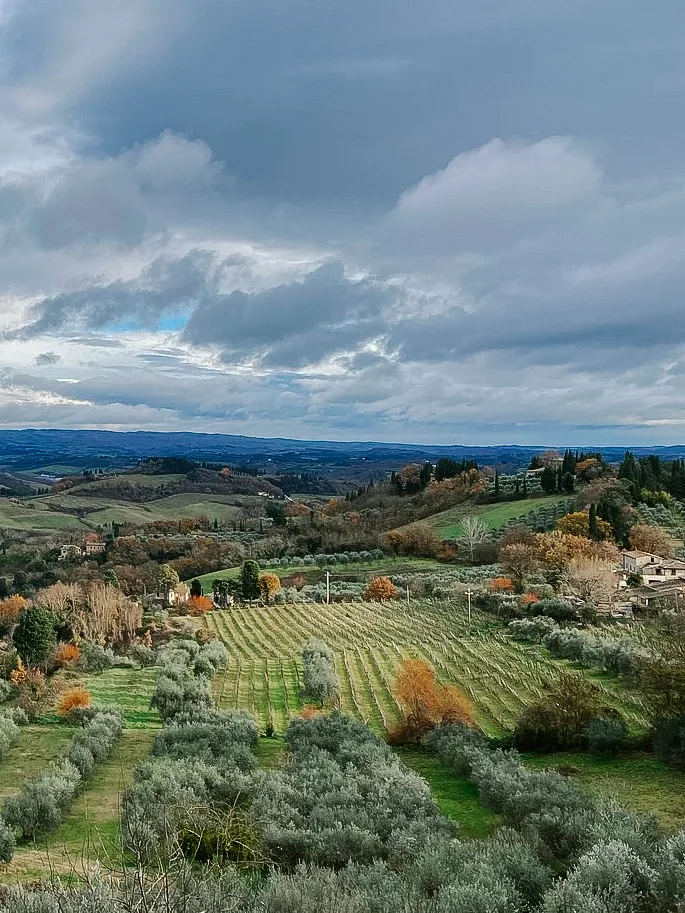 Rolling hills of the Tuscan countryside near Siena, covered in olive groves and vineyards, with a dramatic cloudy sky creating a picturesque landscape.